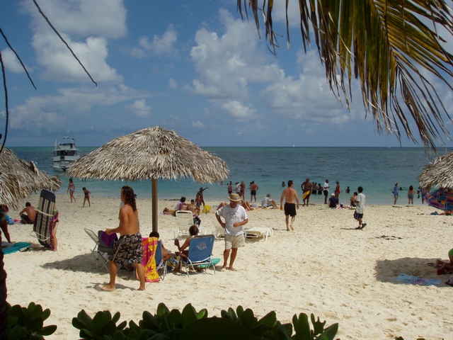 photo by BASRA www.basragrandbahama.org