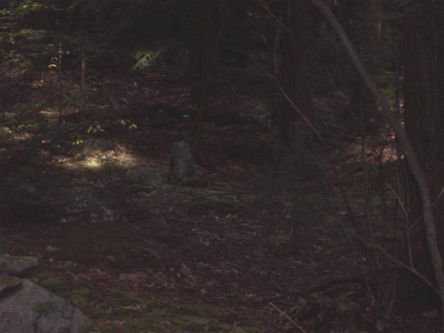 Click here for full-size image