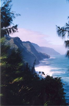 clifview.jpg (29782 bytes)