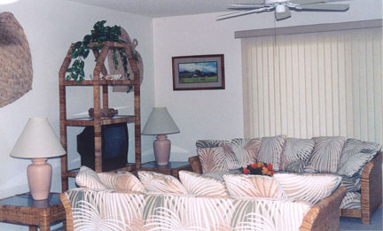 condoroom.jpg (34456 bytes)