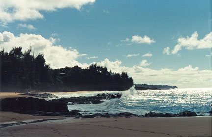 hawaiibeach.jpg (30623 bytes)