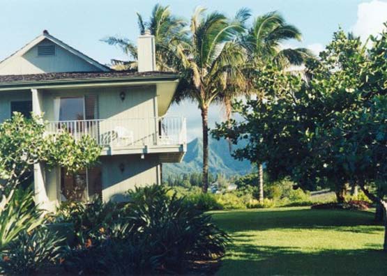 hawaiicondo.JPG (55898 bytes)