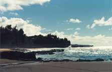 shawaiibeach.jpg (7712 bytes)