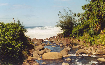 stream.jpg (50609 bytes)