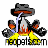 www.neopets.com