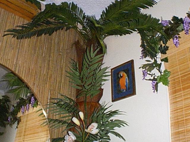 Palm trees seem to grow right out of the wall