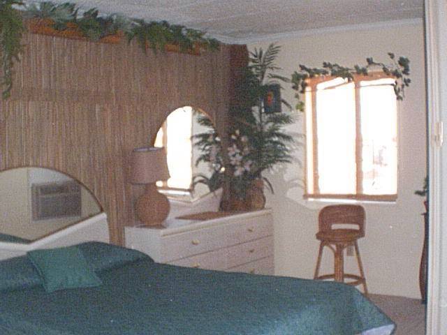 palms & orchids, seagrass & bamboo