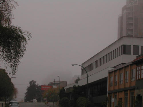 fog = winter