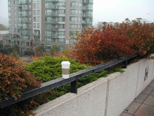 coffee is good