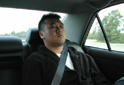 ZZzzzzzzz........
