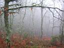 100_1633.JPG