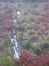 100_1639.JPG