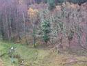 100_1646.JPG
