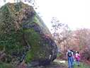 100_1780.JPG