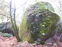100_1786.JPG