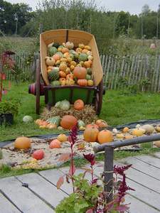 "Charrette d'abondance" lors de la F�te des Courges � la Ferme du Bois de Chang�, tout pr�s du Mans