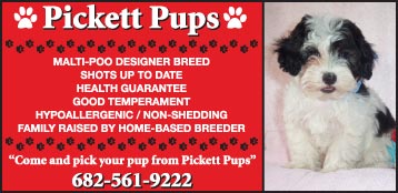 Picket Pups