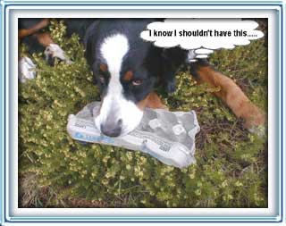 need more fiber!