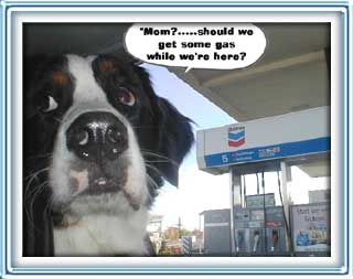 need gas?