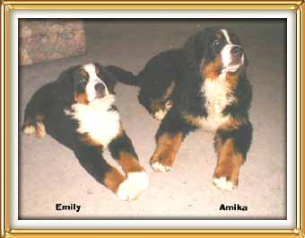 me & emily