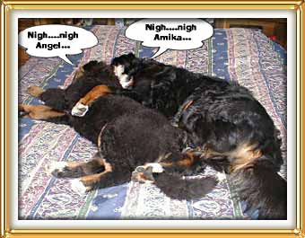 nite nite