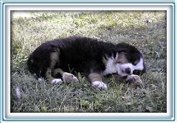so tired.......