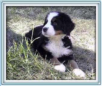 Am I not ADORABLE!!??