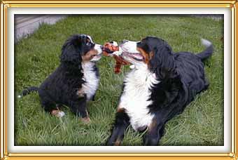 together.....