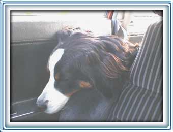 snooze