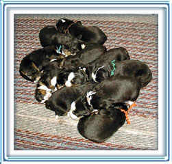 Now I'm 9 days old...