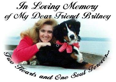 In Loving Memory