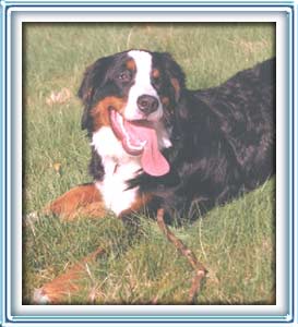 long tongue!