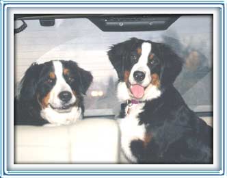 road trip!