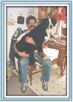 still a lap dog?