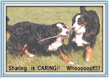 sharing is caring...