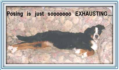 posing is just soooo exhausting!!!