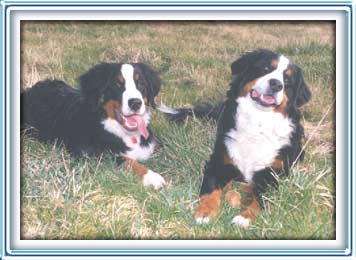 best friends