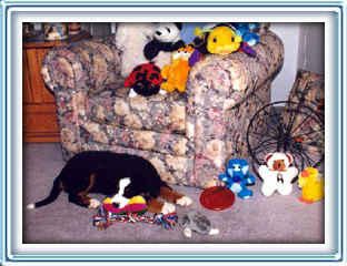 MY toys!!!!!!