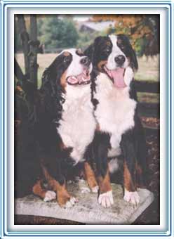 more friends