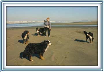 group at beach