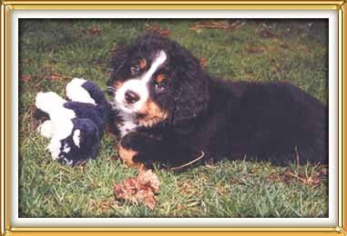 i'm so adorable!