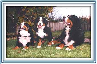 my buddies!
