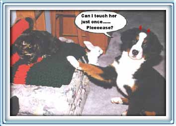 oh dear......