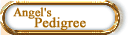Angel's Pedigree