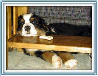 nap time again.......