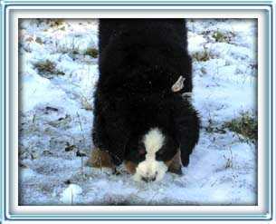 My FIRST snow!!