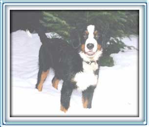 I love this snow stuff!