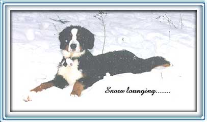 snow lounging