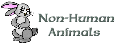 Non-Human Animals