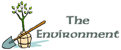 The Environment